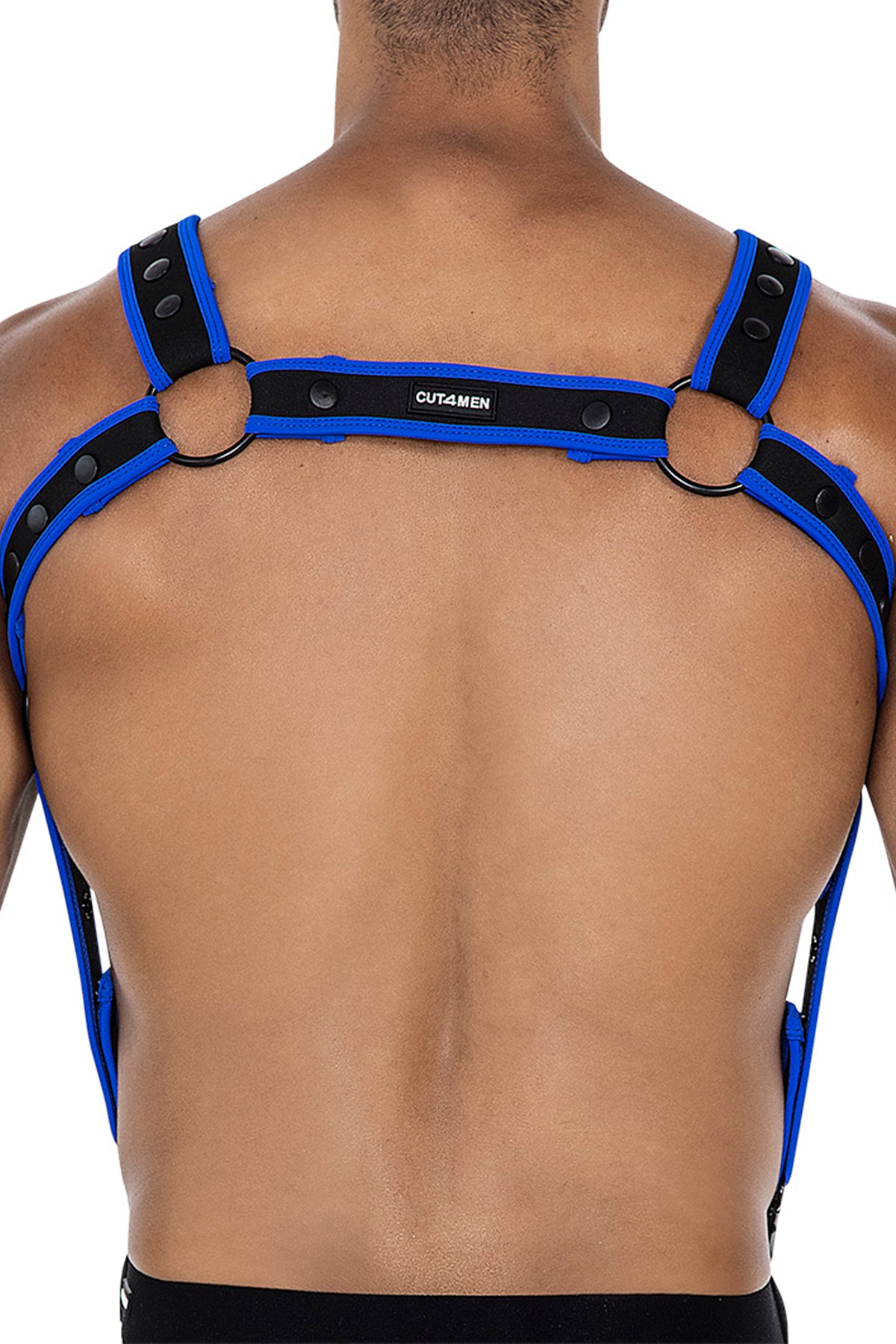 black/neo blue chest harness 05 - OS-3