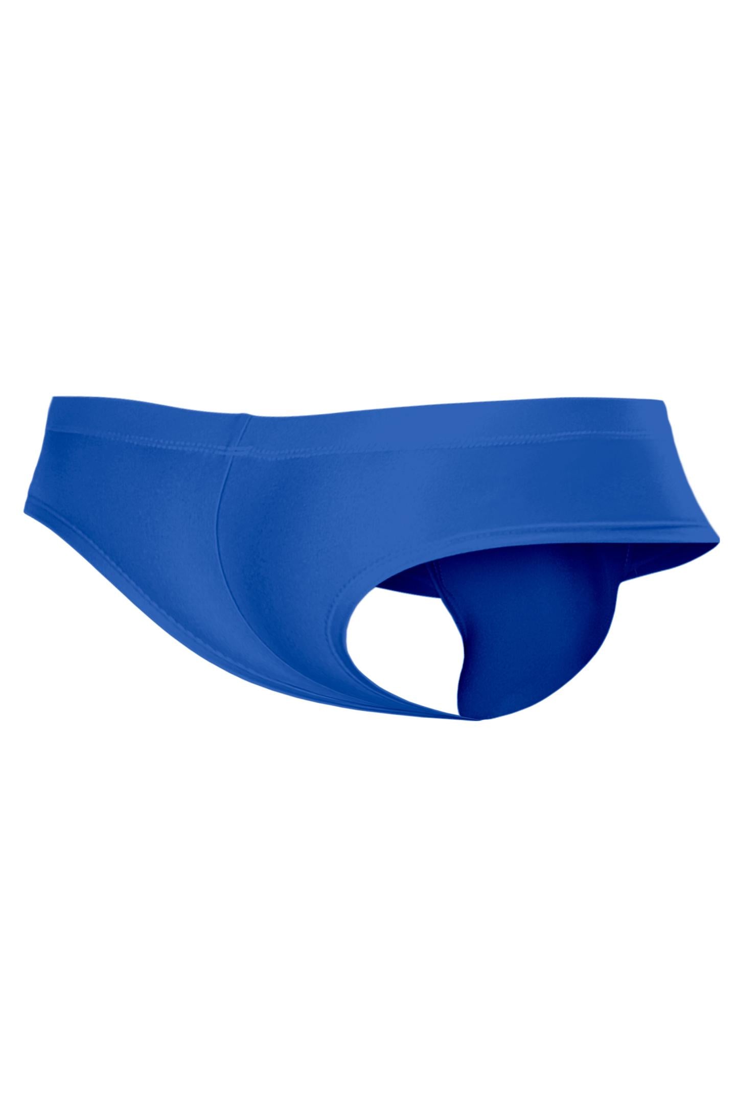 royal blue Hybryd Cheeky Brief C4MSPX22 - XL-1