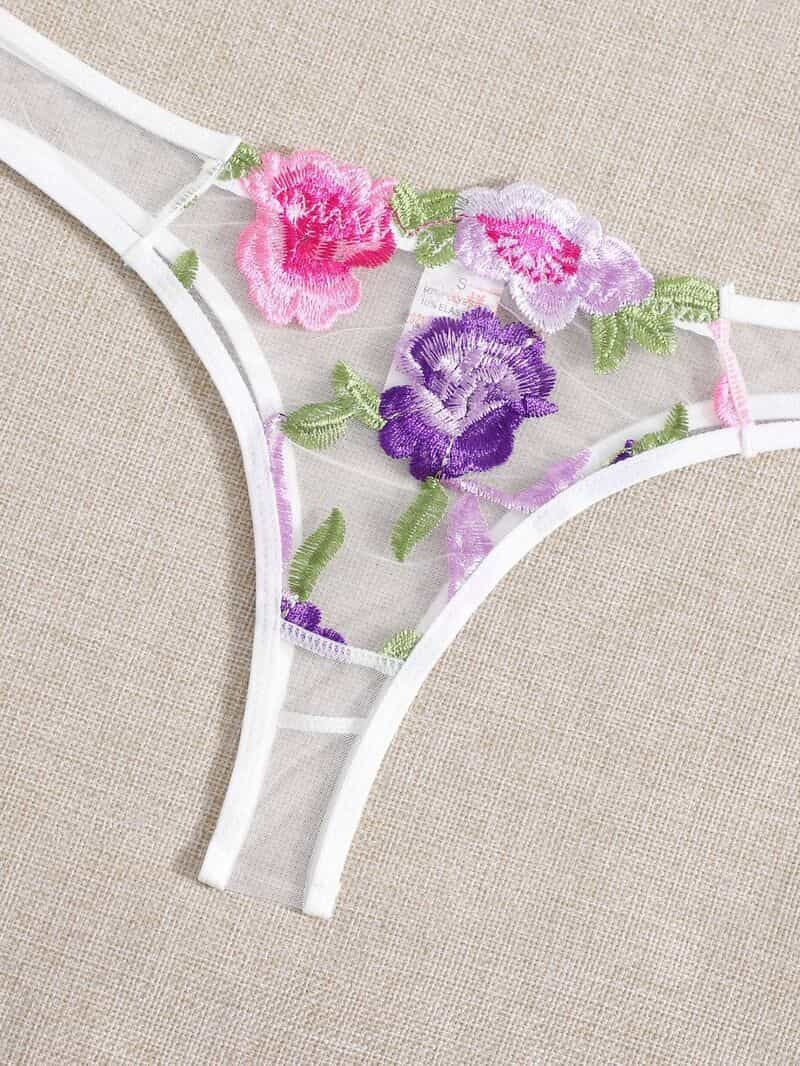 Lace Mesh Embroidered Bra Set Panty Details