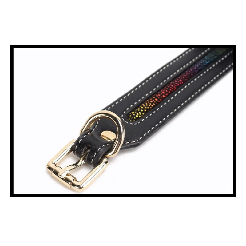 Wholesale Dominatrix Starter Kit with Butterfly Accents in Leather Gag